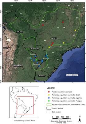 Gone With the Water: The Loss of Genetic Variability in Black and Gold Howler Monkeys (Alouatta caraya) Due to Dam Construction